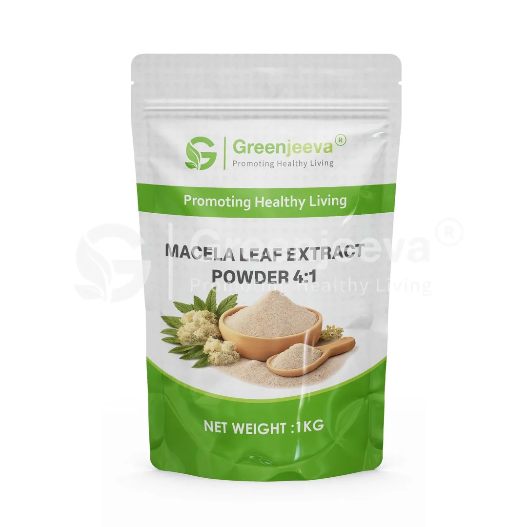 Macela Leaf Extract Powder 4 1 Pouch Macela Leaf Extract Powder 4 1 Pouch
